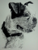 hubert-bowers-amsterdam-pet-portrait-dog1-pencil